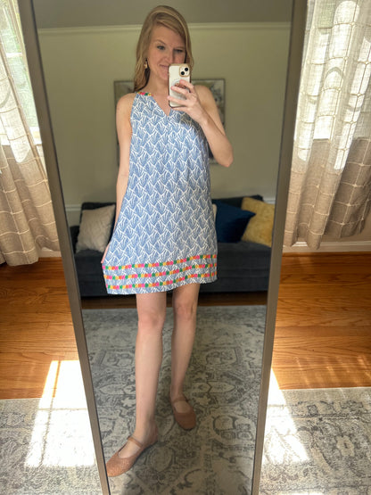 Sunshine & Confetti Embroidered Mini Dress
