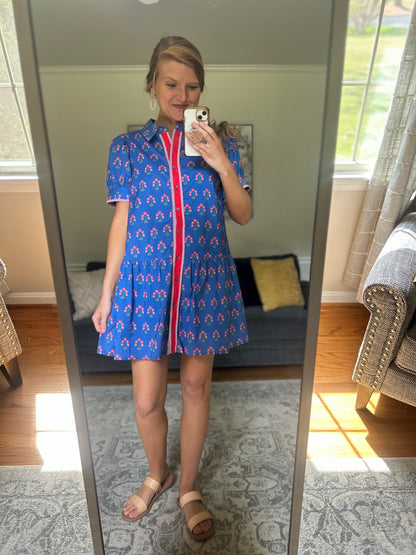 Colette Collared Mini Dress