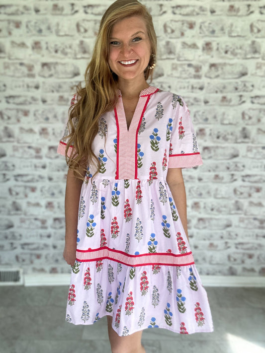 Patio Date Floral Stripe Mini Dress