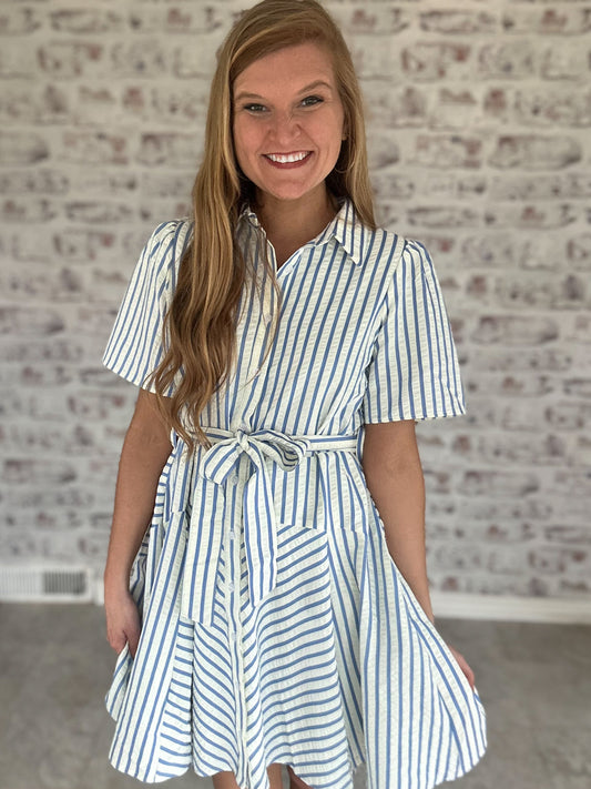 Winslet Stripe Collared Mini Dress
