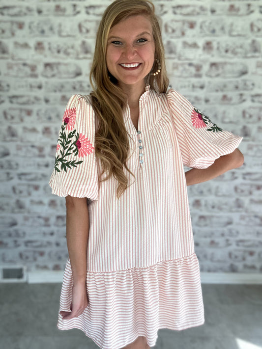 Cleo Embroidered Sleeve Mini Dress