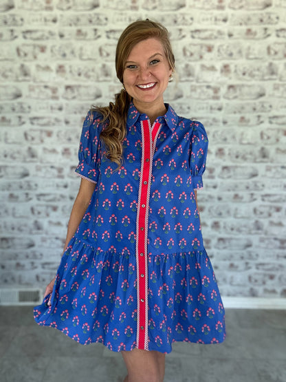 Colette Collared Mini Dress